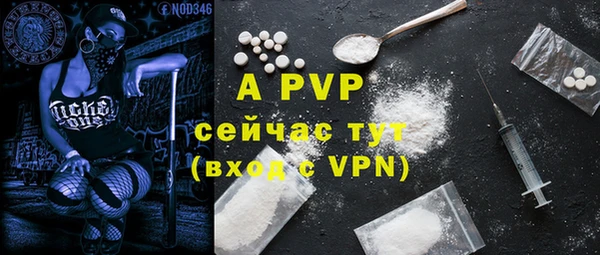 спайс Беломорск