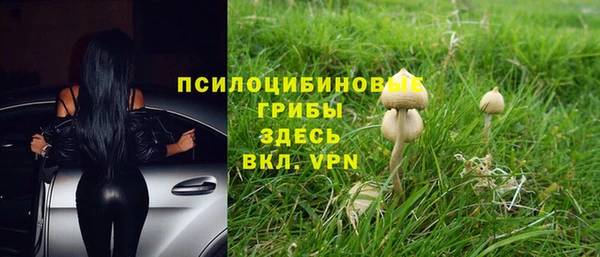 прущая мука Белоозёрский