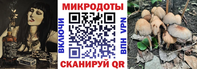 kraken зеркало  Лабинск  Галлюциногенные грибы MAGIC MUSHROOMS 